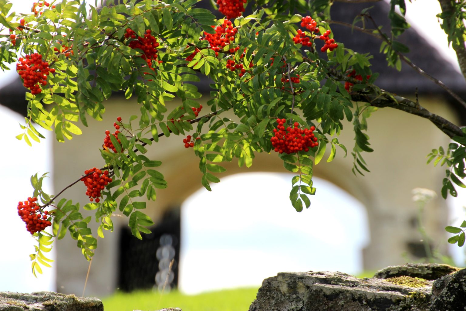 Valokuvaaja: Irja Lehtinen