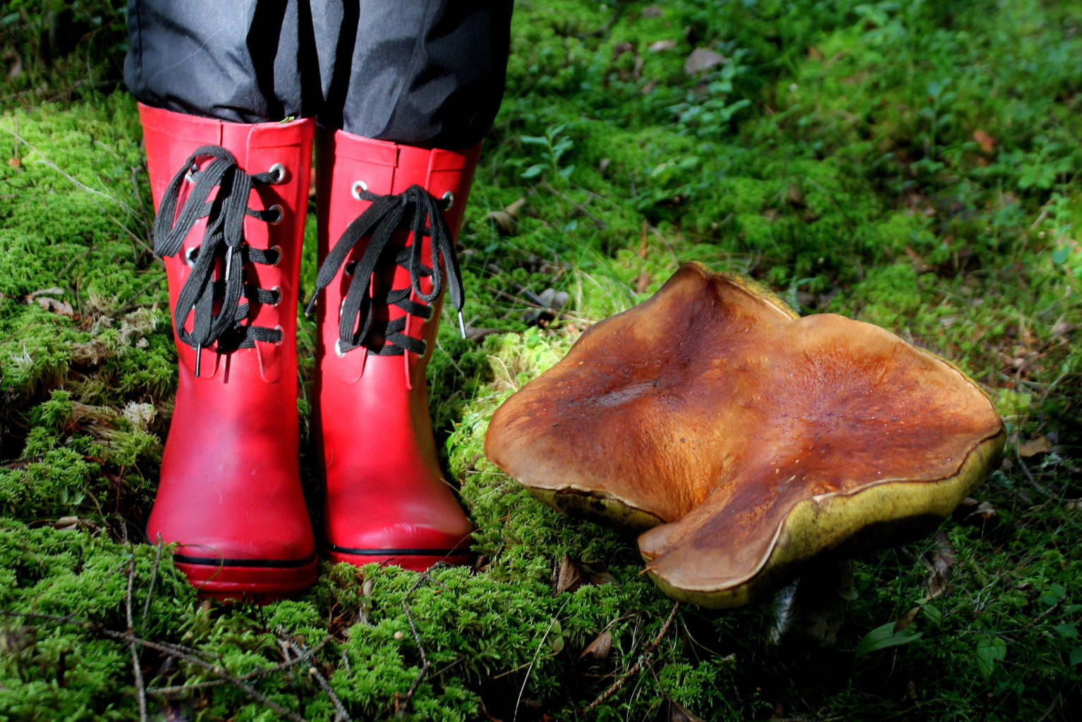 Valokuvaaja: Paula Savelius