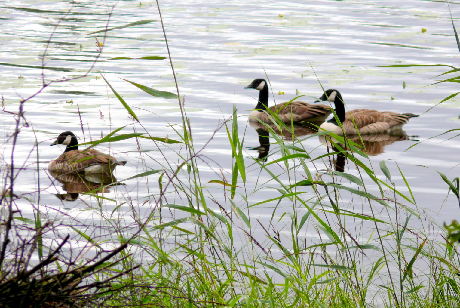 Valokuvaaja: Kalle Asikainen