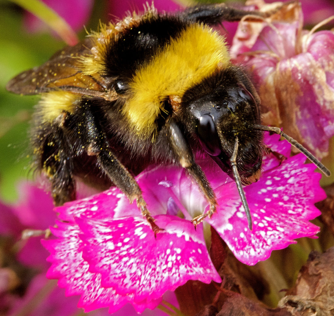 Valokuvaaja: Jarmo Sillanpää