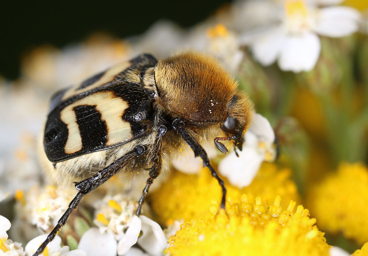 Valokuvaaja: Tarja Porkkala