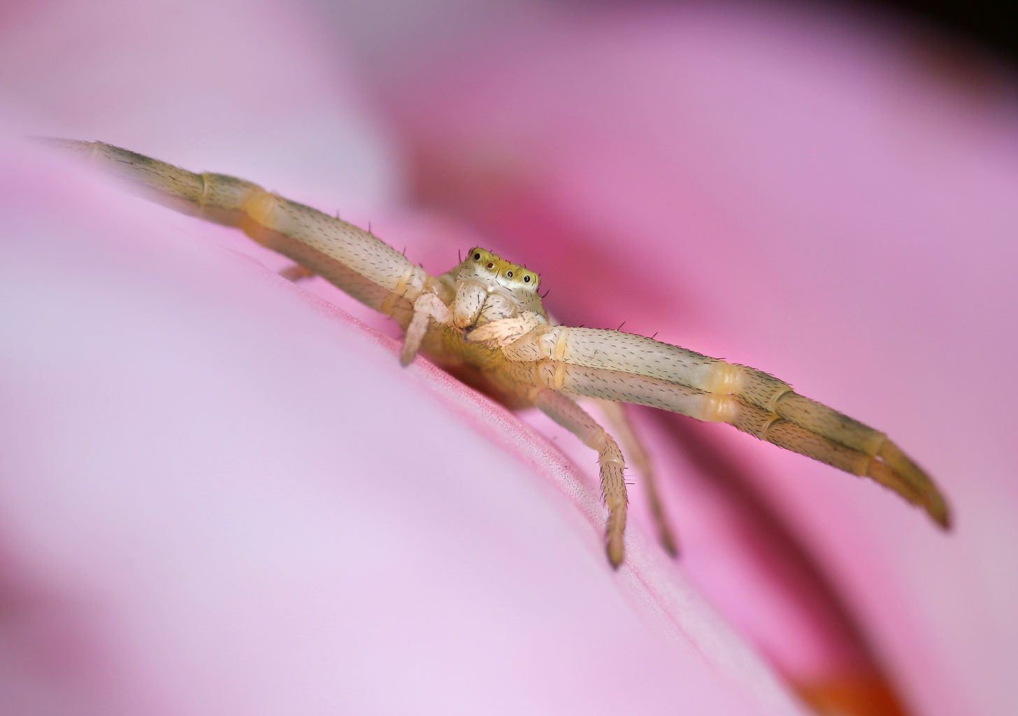 Valokuvaaja: Tarja Porkkala Valokuvaaja: Tarja Porkkala
