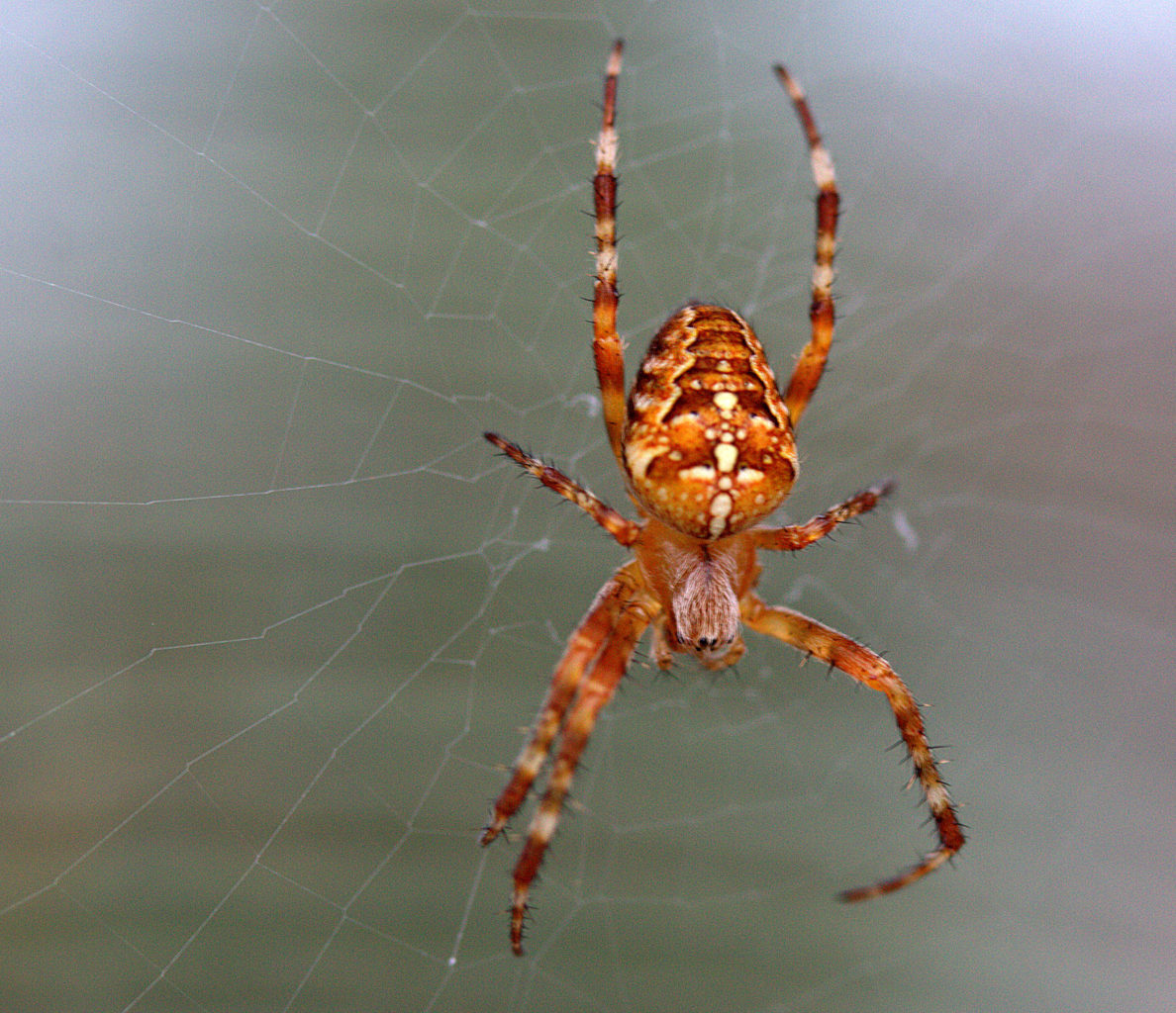 Valokuvaaja: Sirpa Jyske