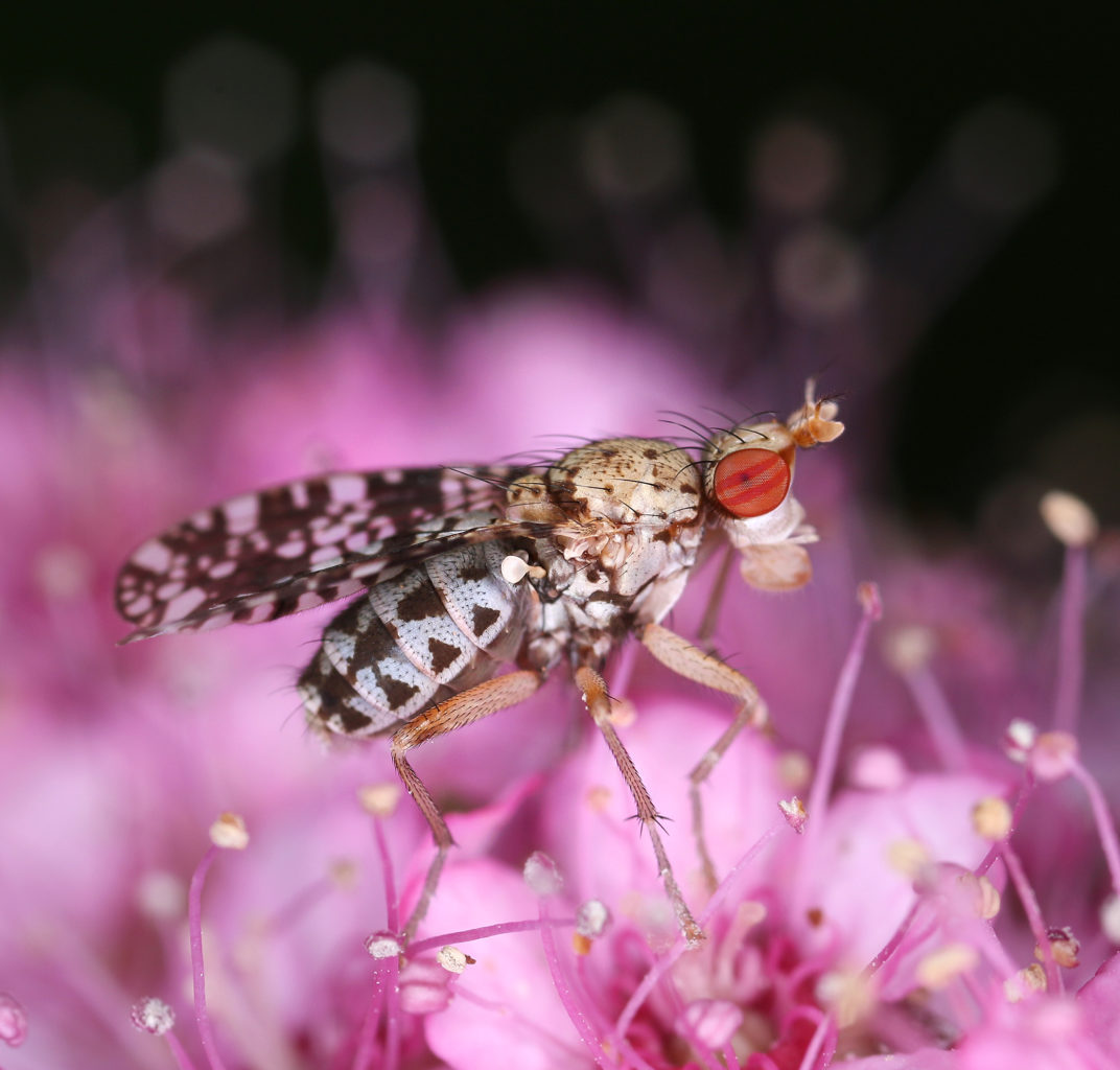 Valokuvaaja: Tarja Porkkala