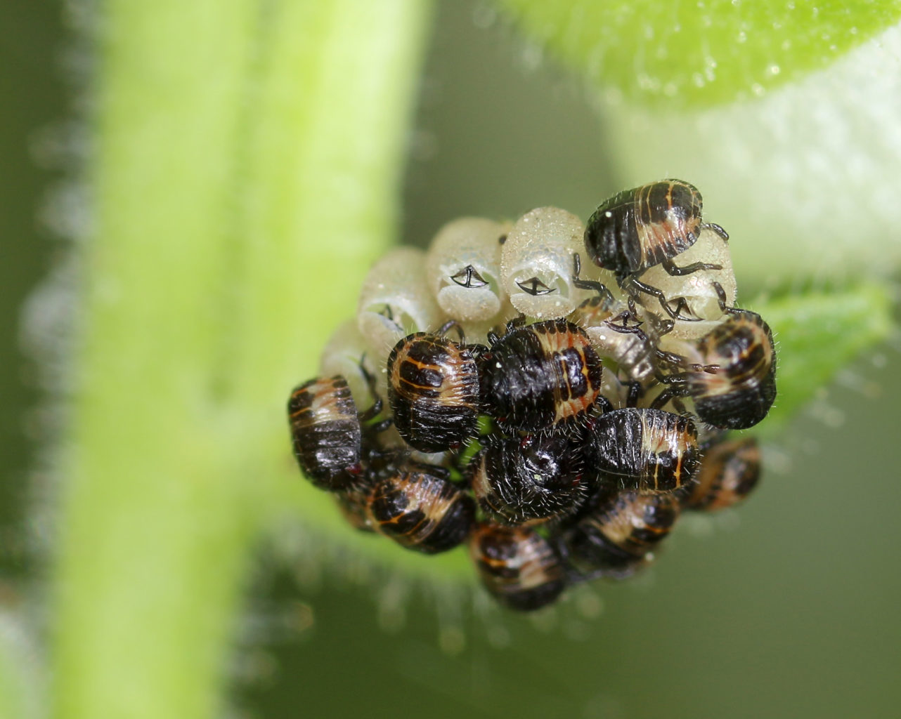 Valokuvaaja: Tarja Porkkala