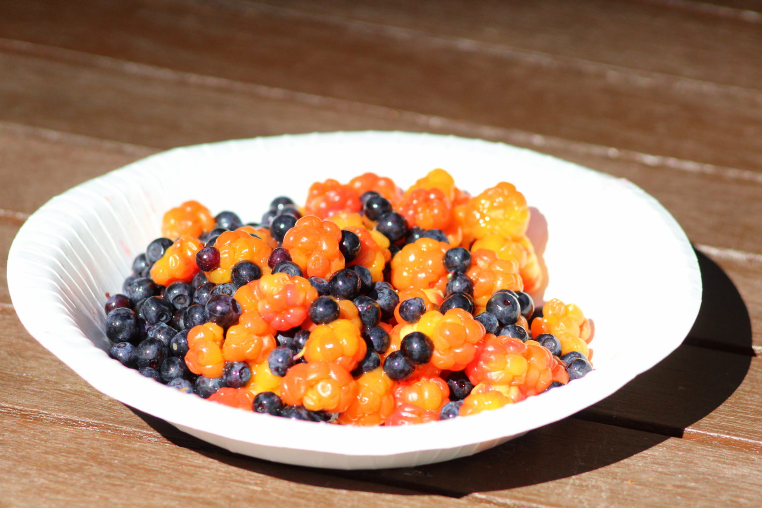 Valokuvaaja: Kalle Asikainen