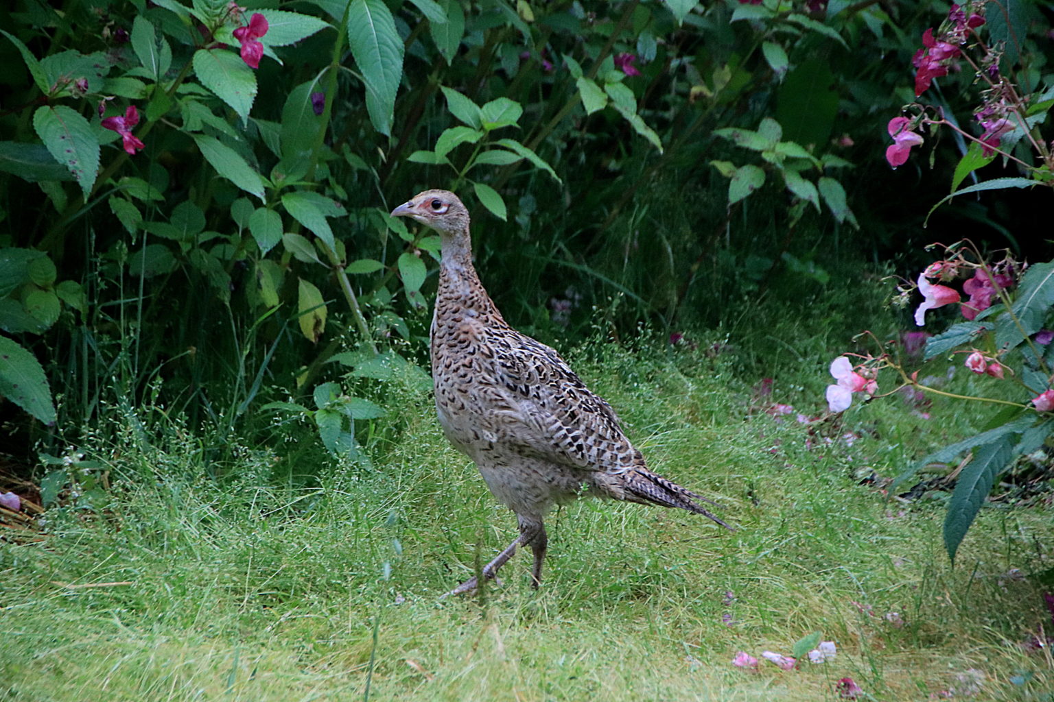 Valokuvaaja: Sirpa Jyske