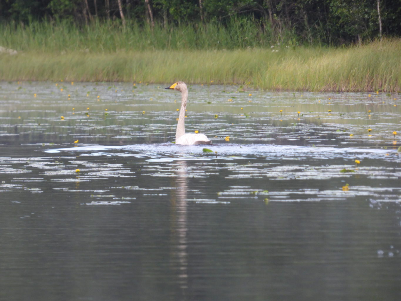 Valokuvaaja: Hannu Rissanen