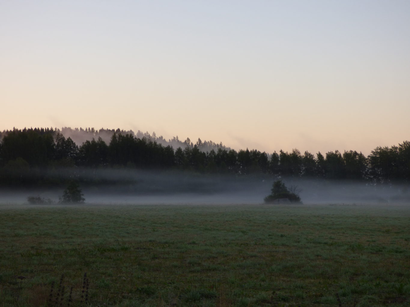 Valokuvaaja: Hannu Rissanen