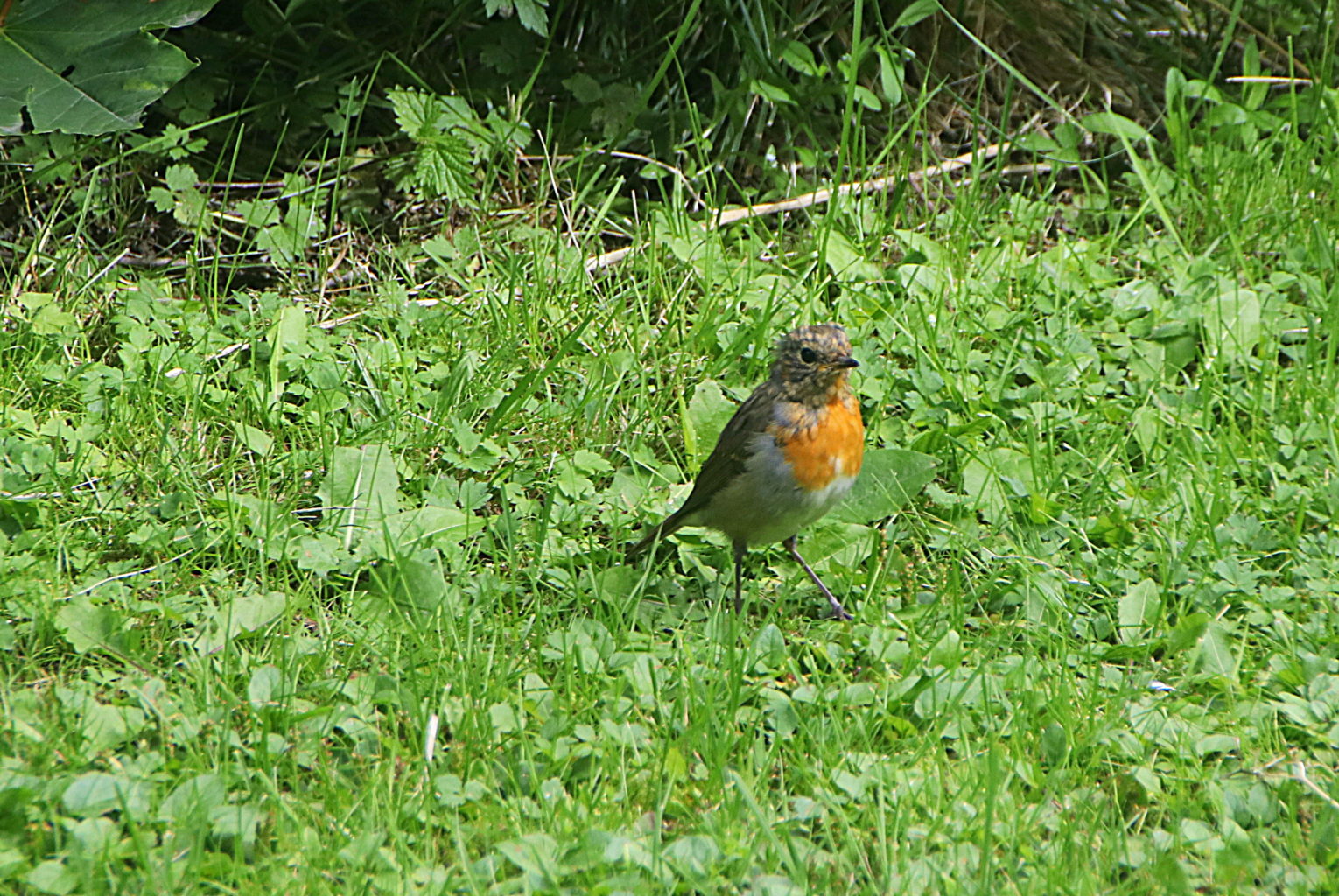 Valokuvaaja: Sirpa Jyske