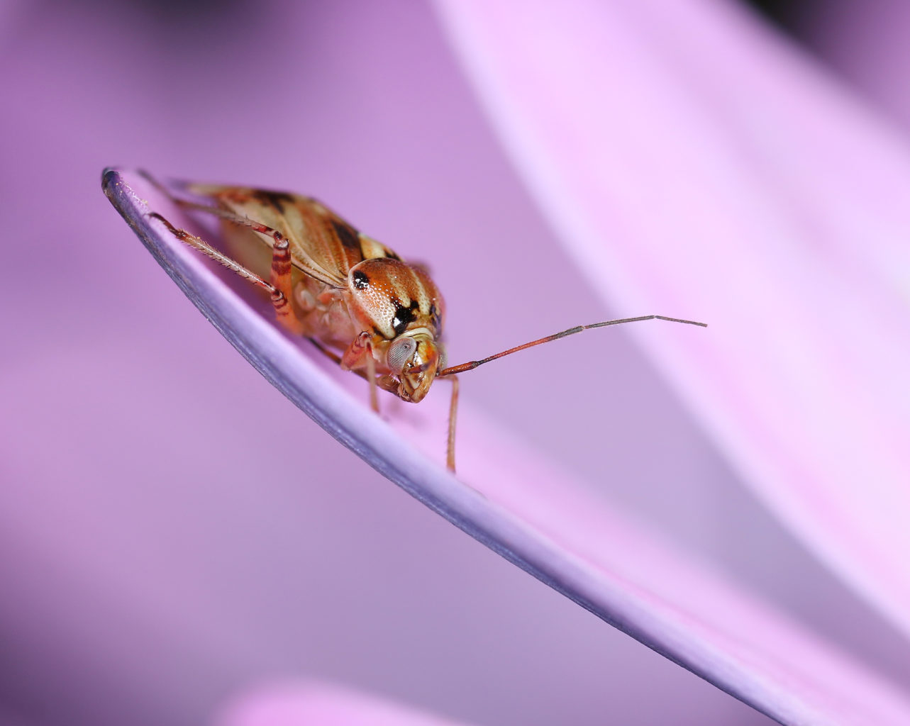 Valokuvaaja: Tarja Porkkala