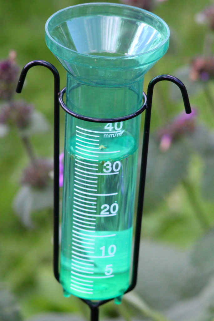 Valokuvaaja: Kalle Asikainen