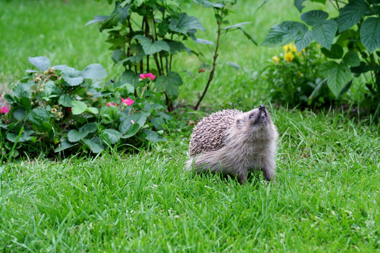 Valokuvaaja: Pirkko Siukonen
