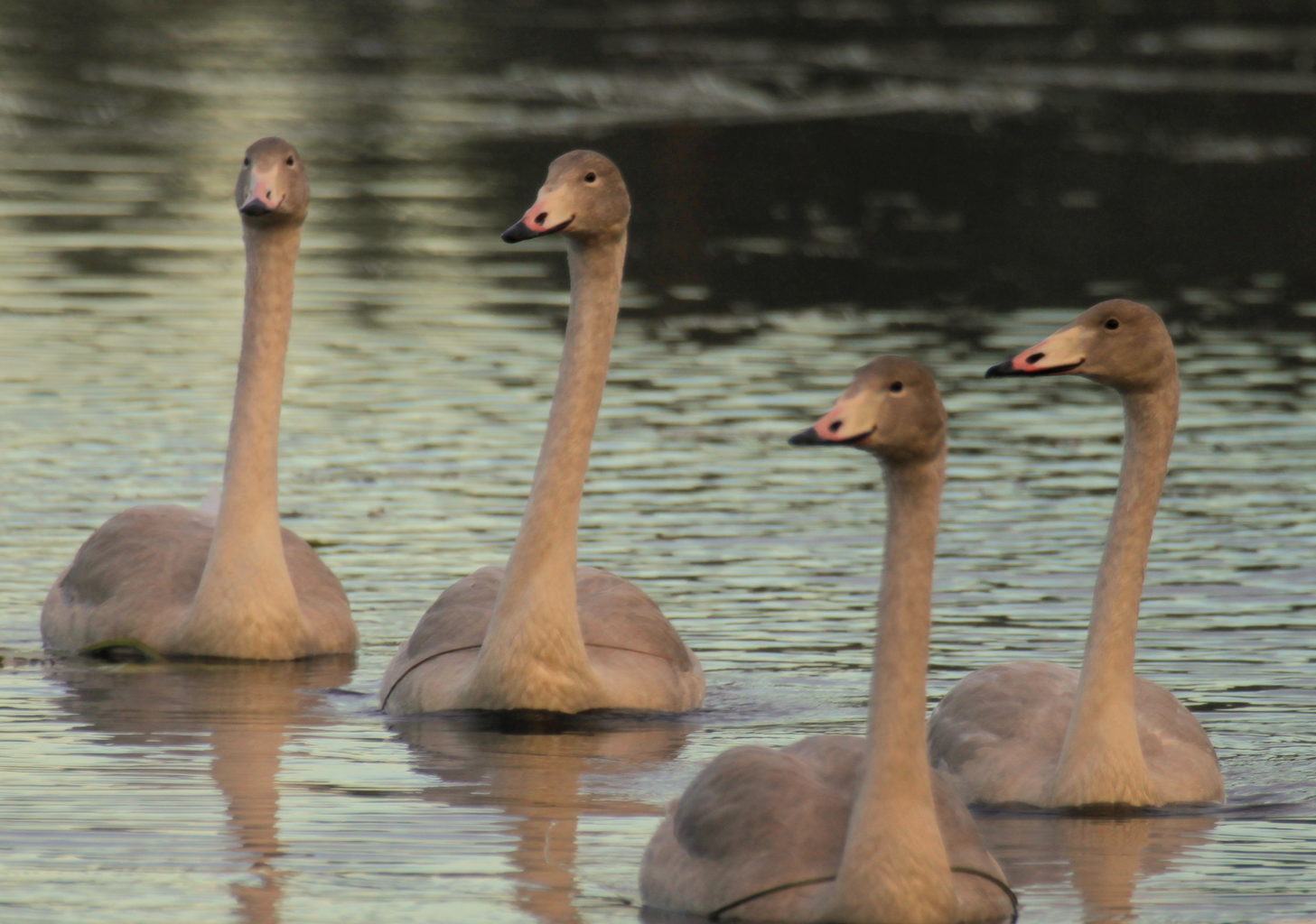 Valokuvaaja: Sirpa Jyske