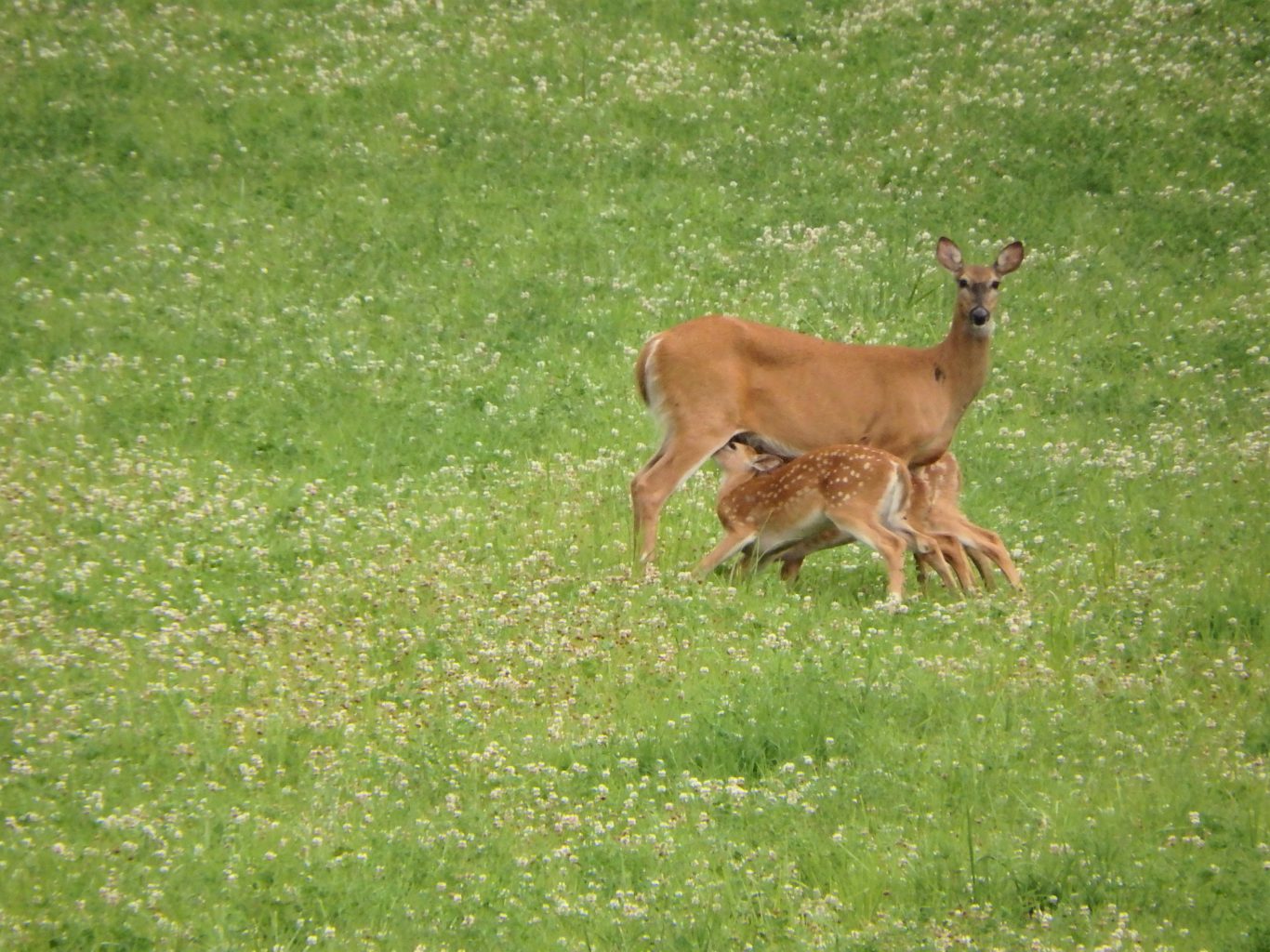 Valokuvaaja: Marjatta Luomanen