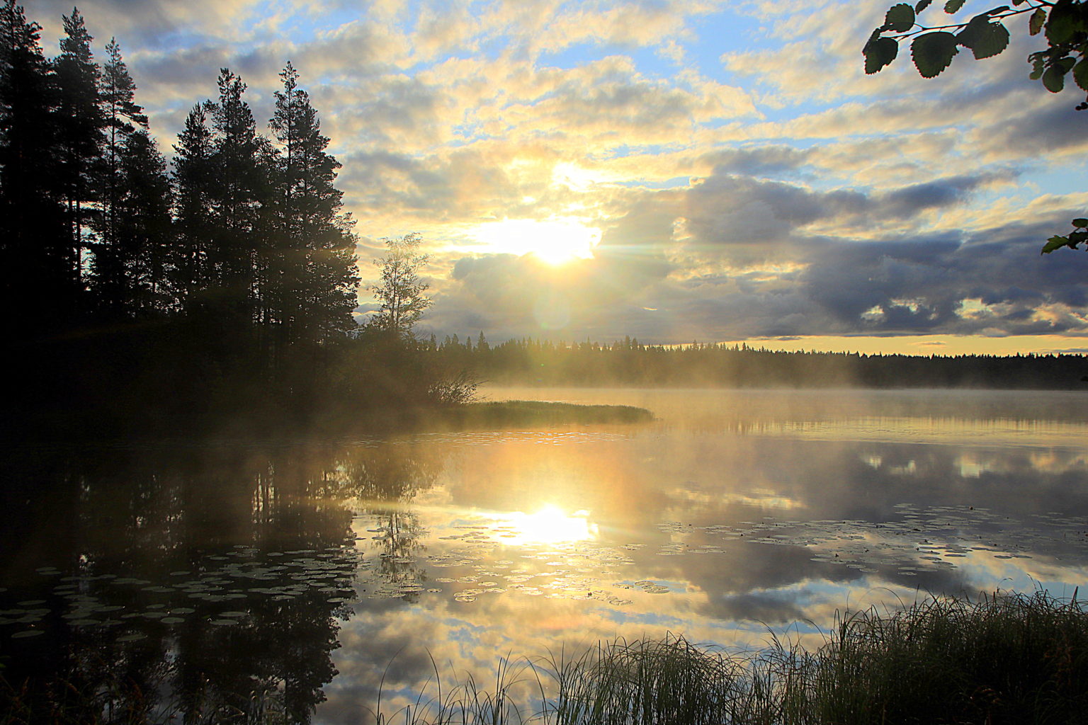 Valokuvaaja: Sirpa Jyske