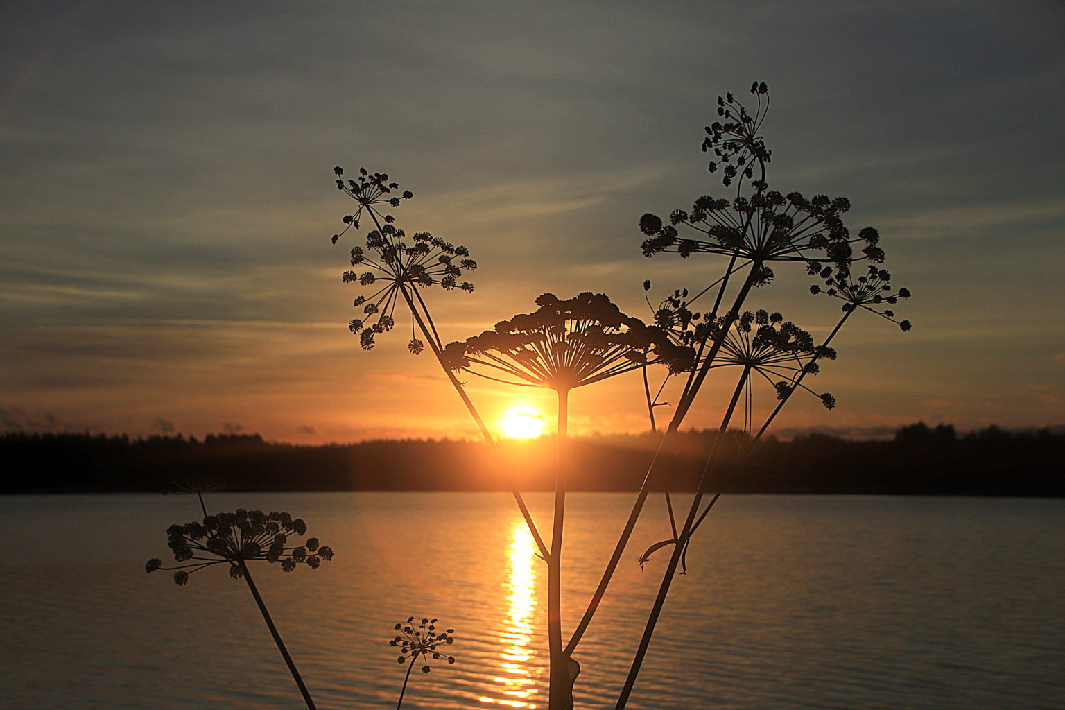 Valokuvaaja: Sirpa Jyske