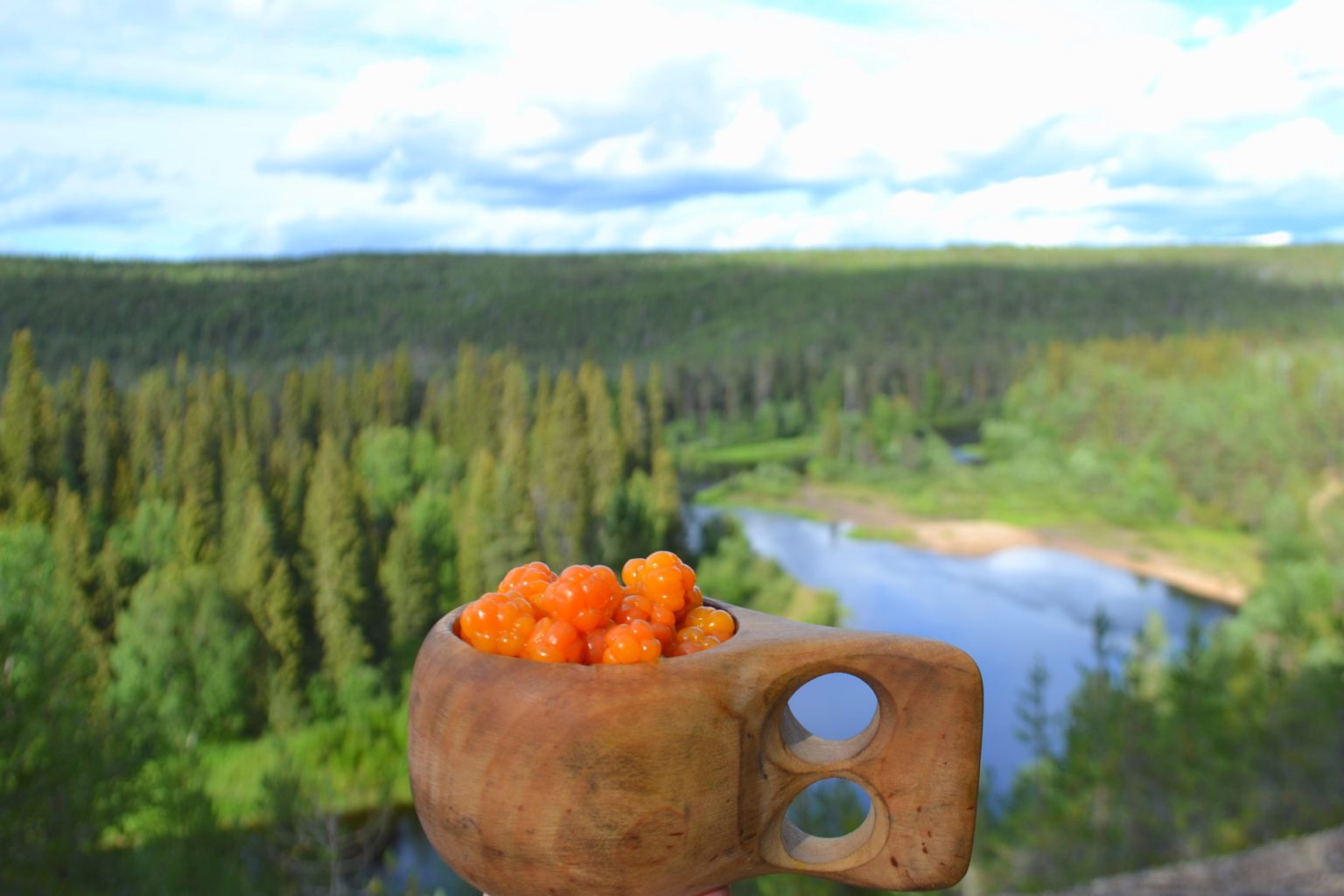 Valokuvaaja: Leena Rissanen