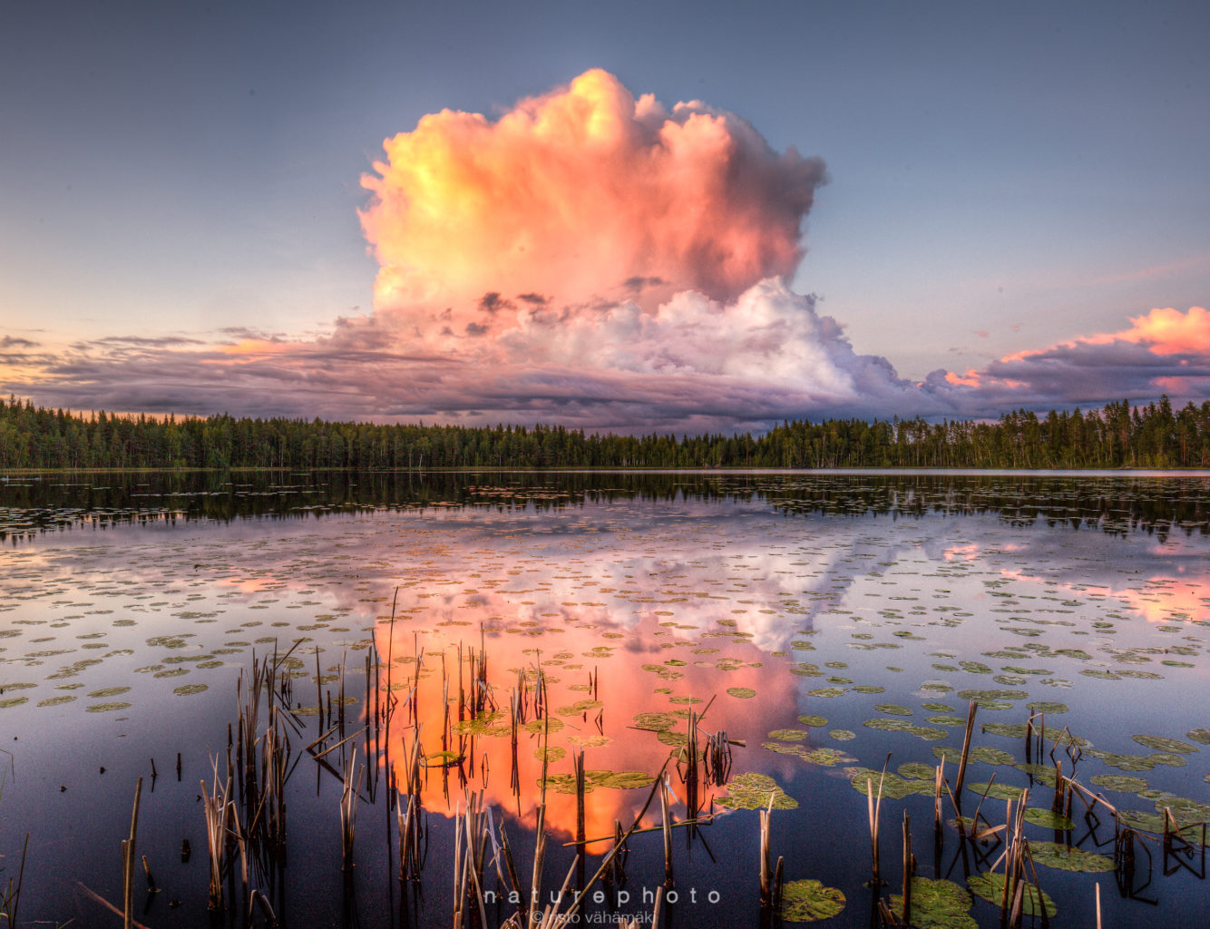 Valokuvaaja: Risto Vähämäki