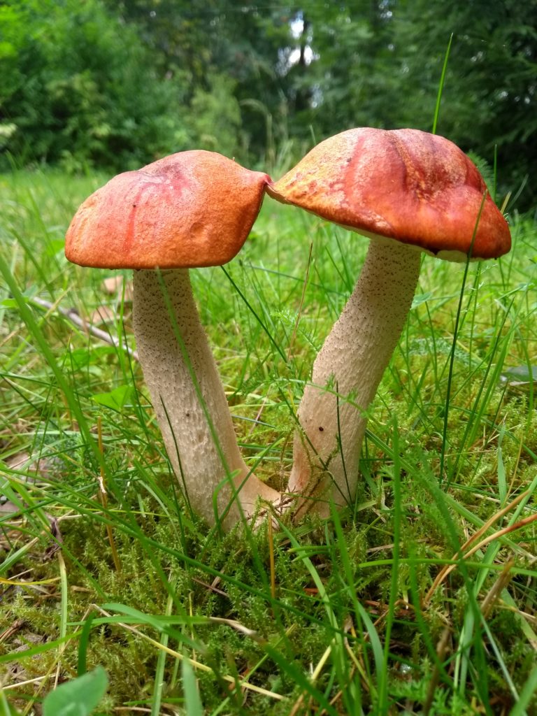 Valokuvaaja: Kaisa Salminen Valokuvaaja: Kaisa Salminen