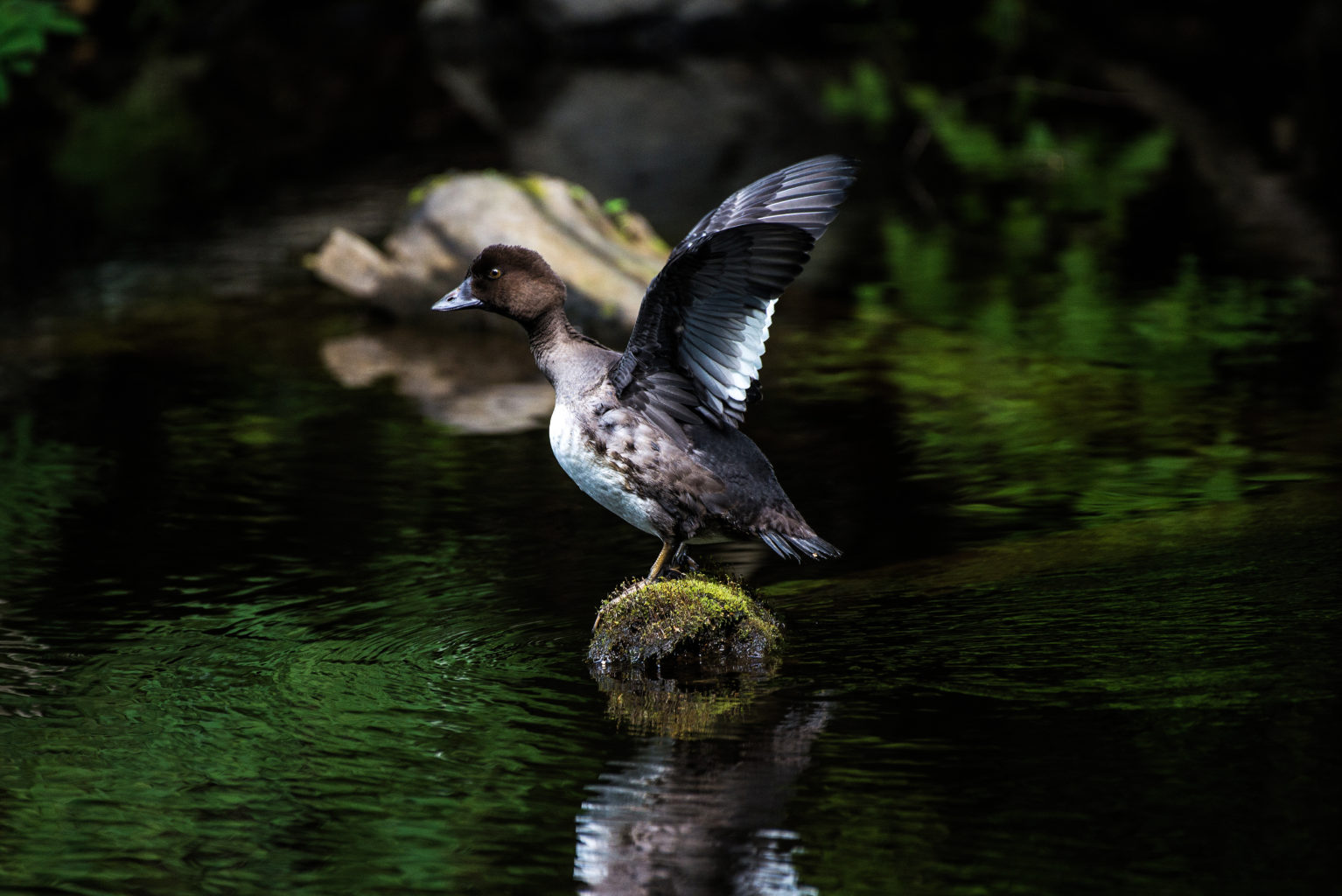 Valokuvaaja: Joona Korhonen
