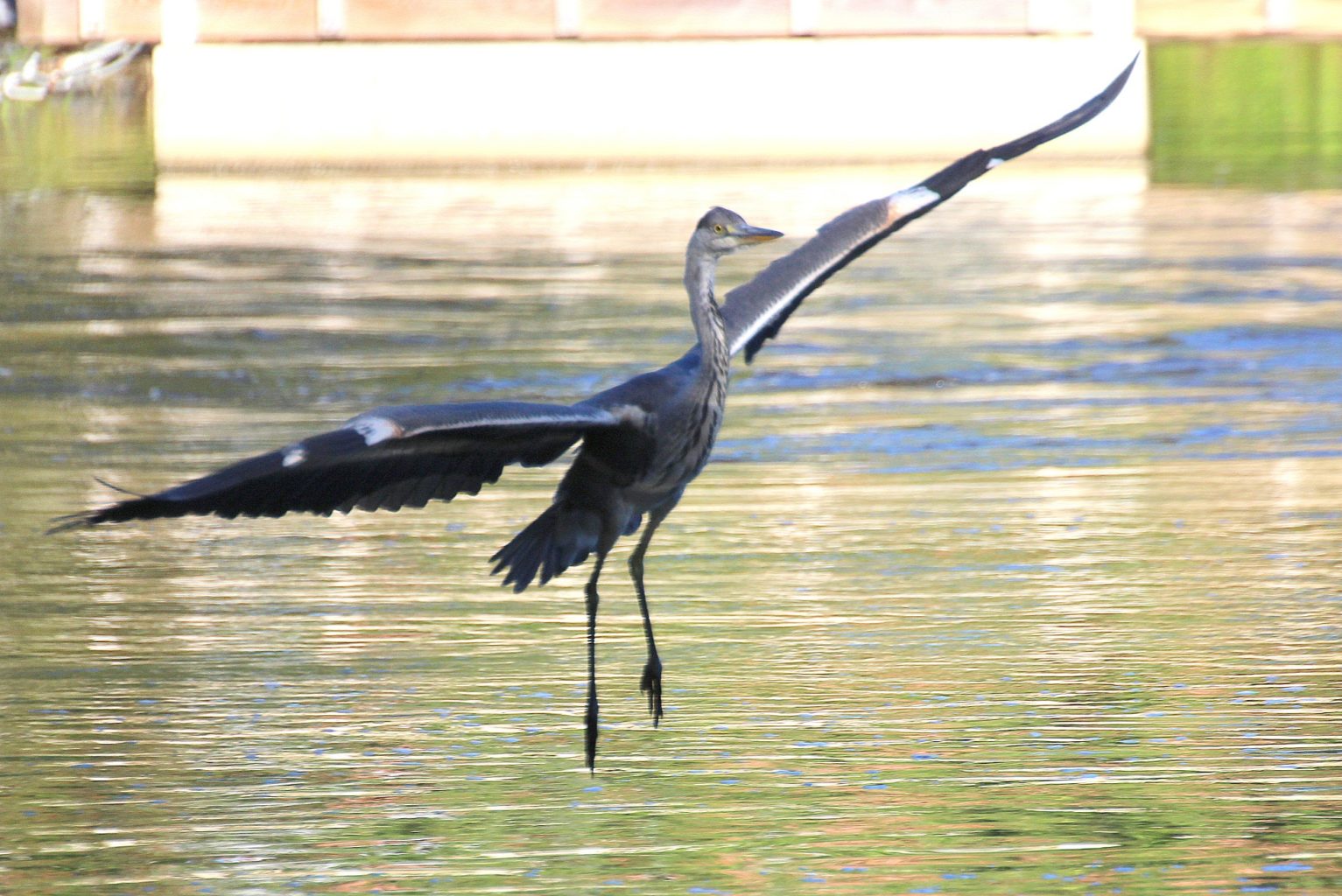 Valokuvaaja: Irja lehtinen