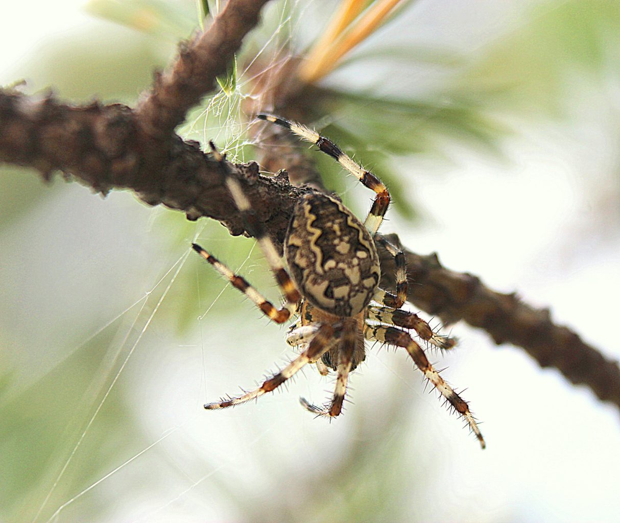 Valokuvaaja: Irja Lehtinen