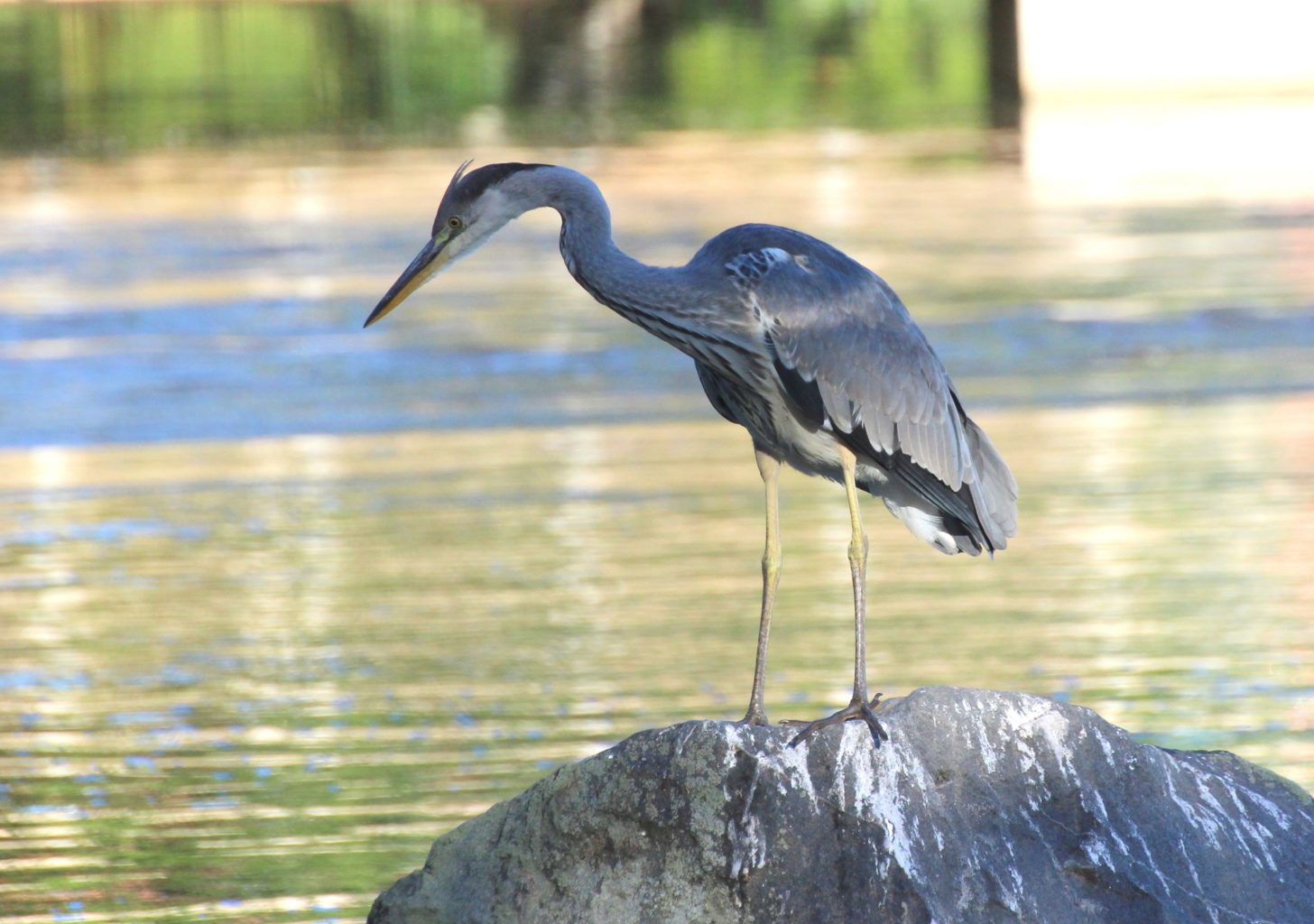 Valokuvaaja: Irja lehtinen