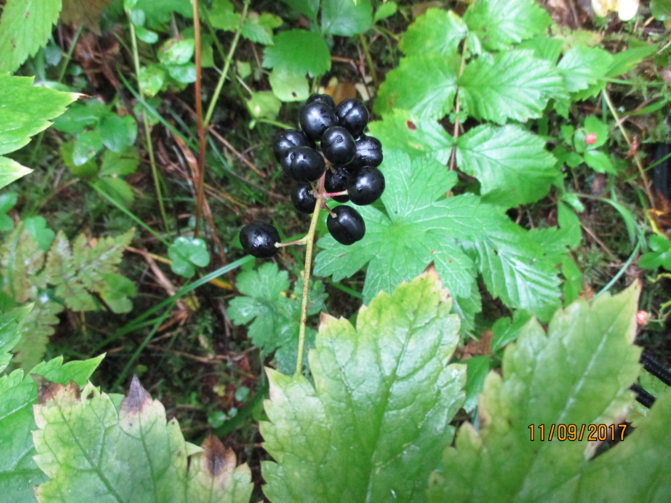 Valokuvaaja: yrjo lukkari