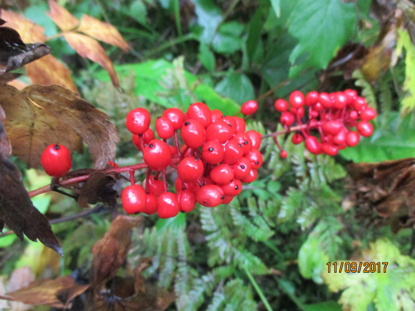 Valokuvaaja: yrjo lukkari