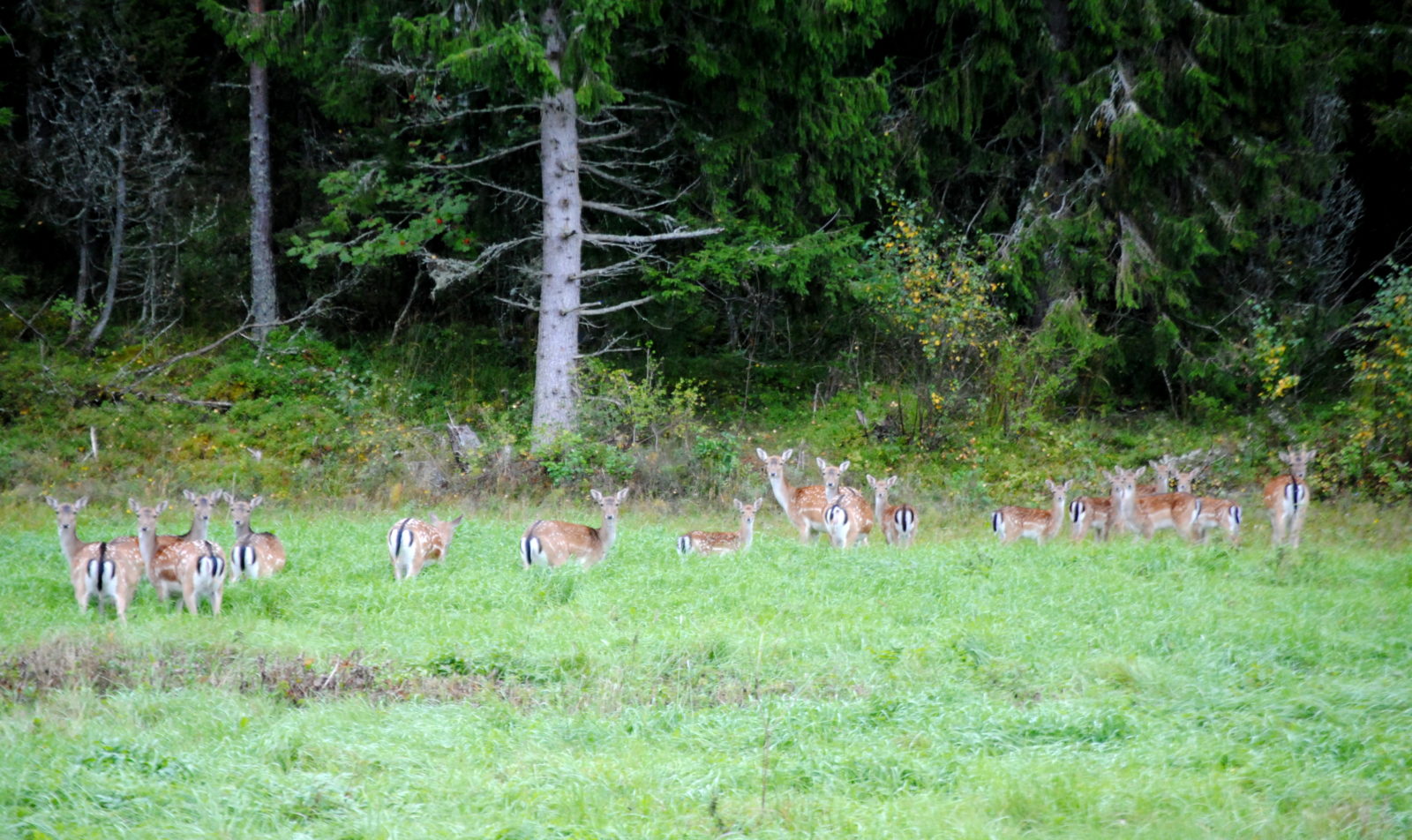 Valokuvaaja: Veera-Maria Järvinen