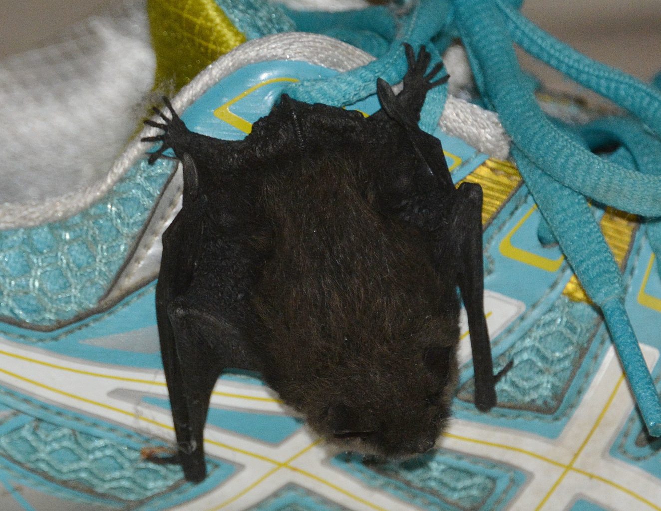 Valokuvaaja: Heli Korhonen