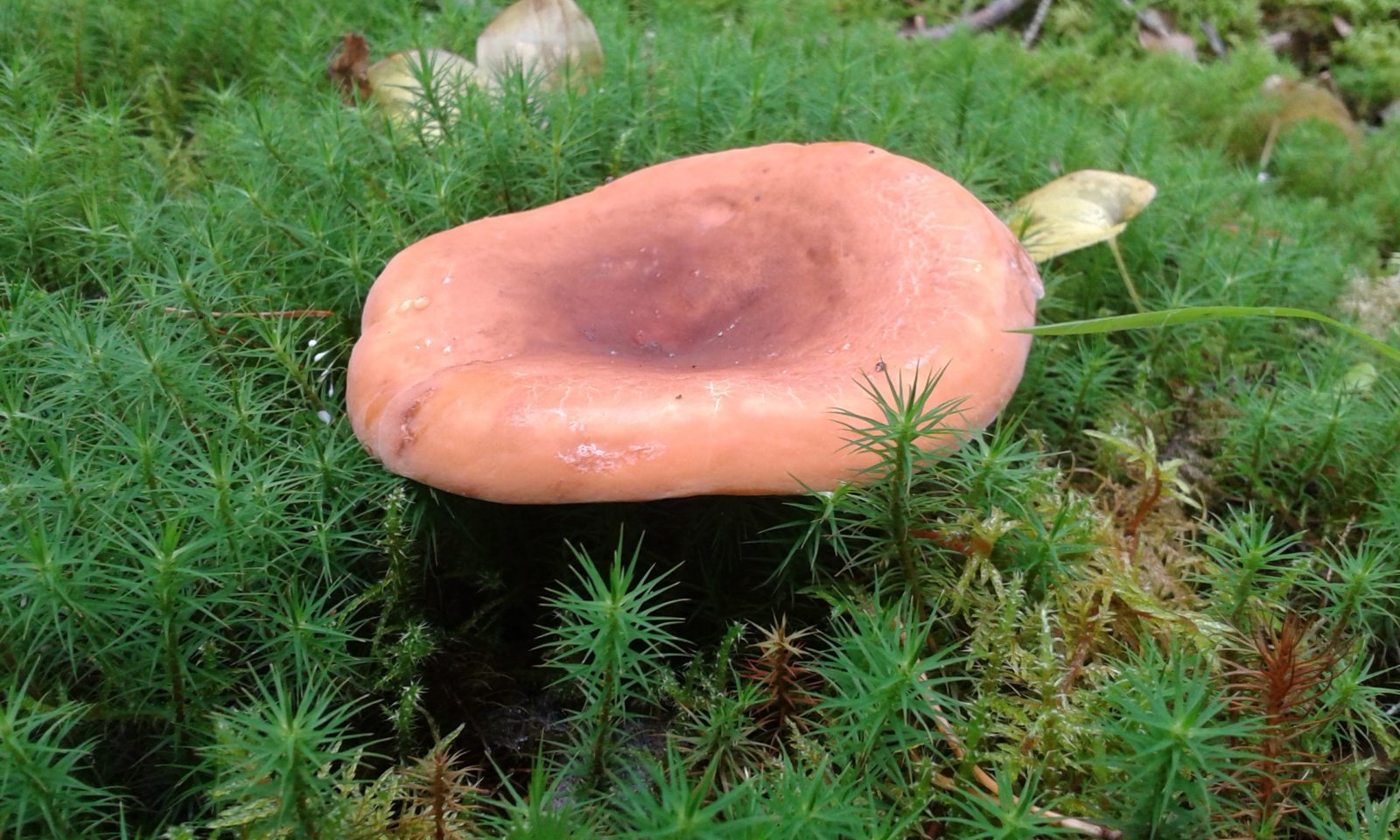 Valokuvaaja: Terttu Rantanen