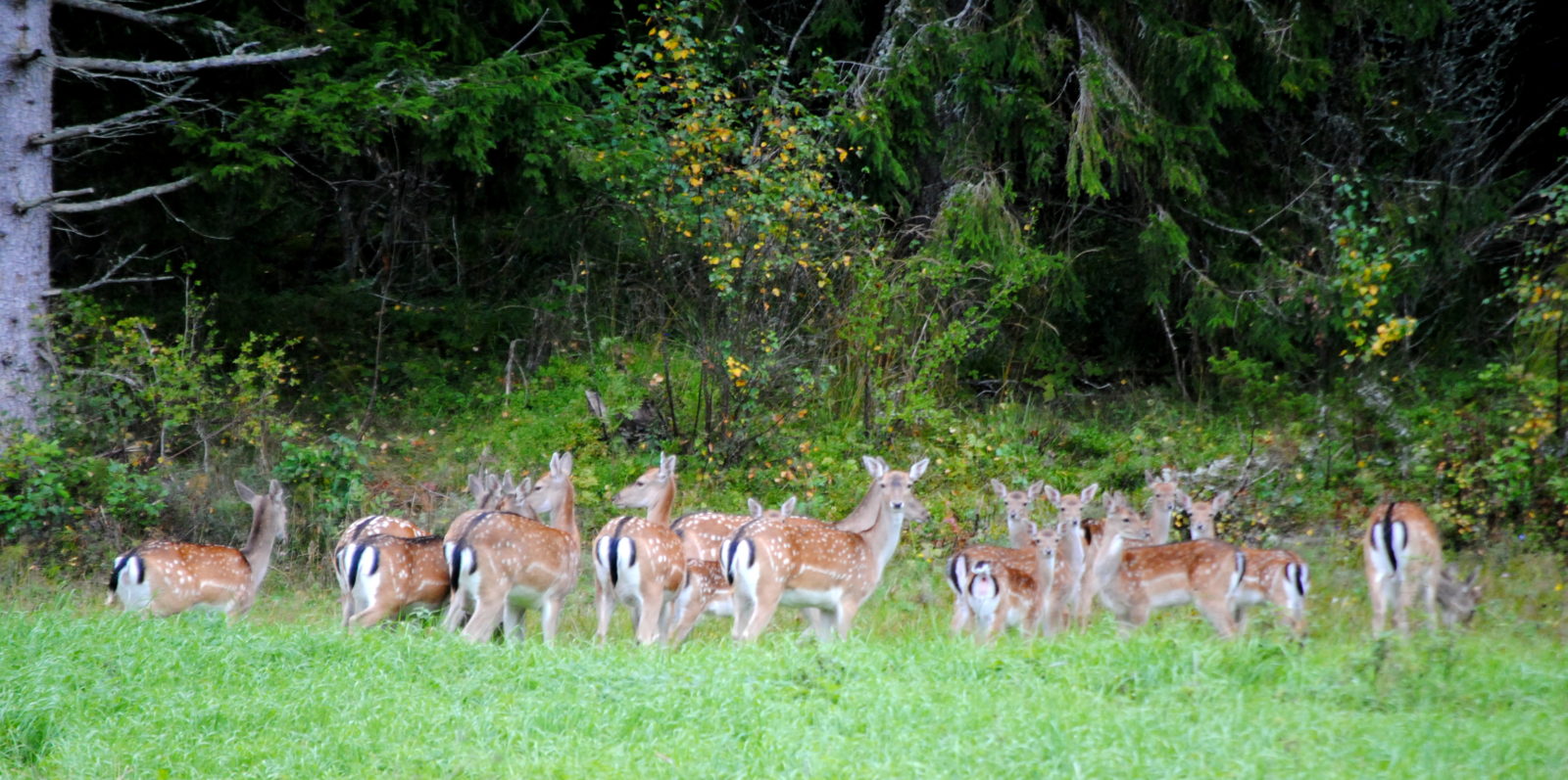 Valokuvaaja: Veera-Maria Järvinen