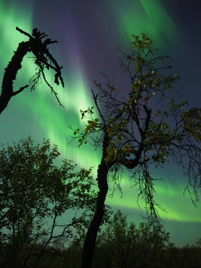 Valokuvaaja: Sannamari Blinnikka-Tyrväinen