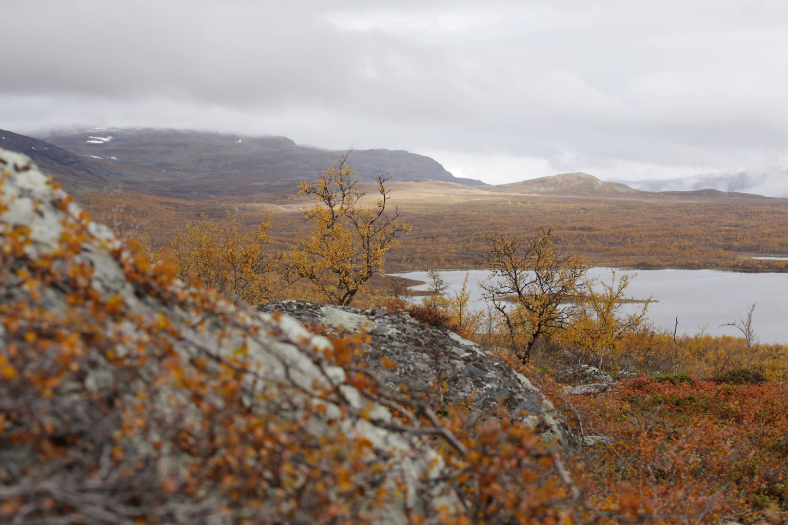 Valokuvaaja: Anne Moilanen