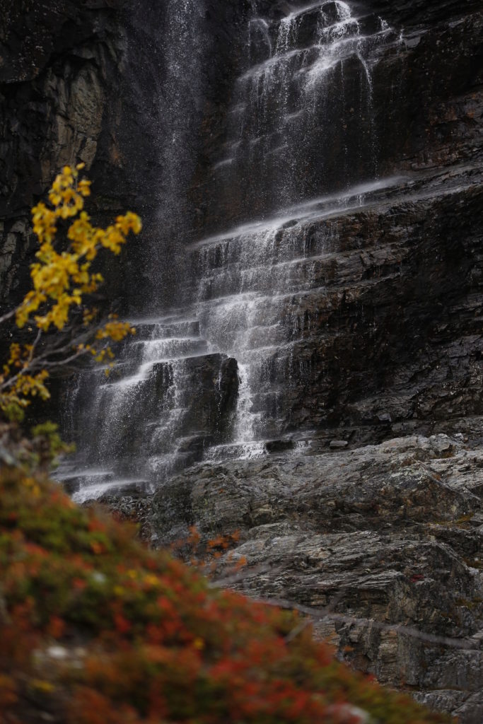 Valokuvaaja: Anne Moilanen