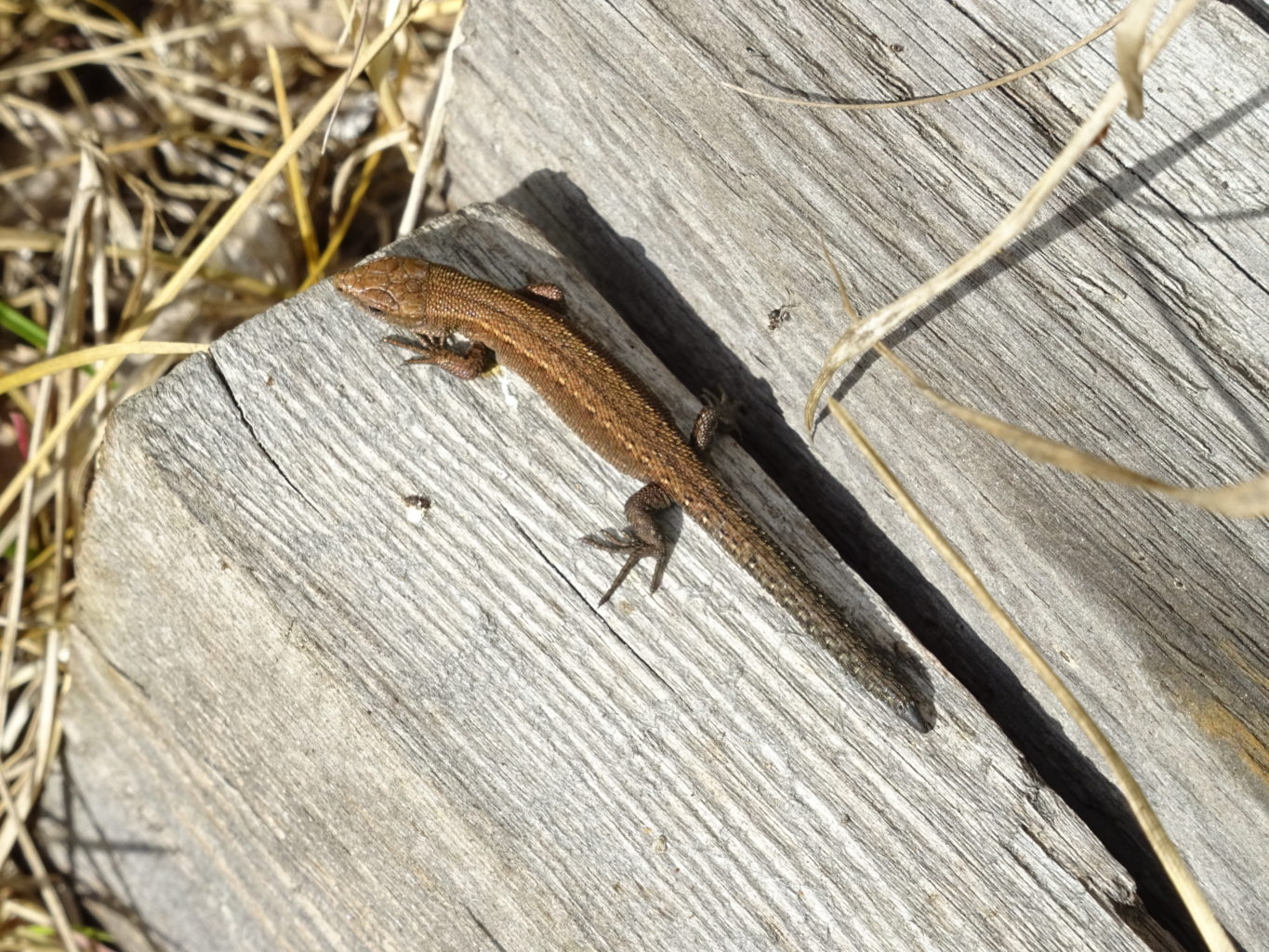 Valokuvaaja: Katja Ketola