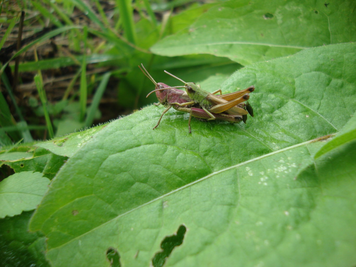 Valokuvaaja: Anja Mustamaa Valokuvaaja: Anja Mustamaa