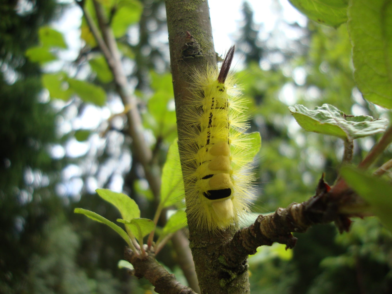 Valokuvaaja: Anja Mustamaa