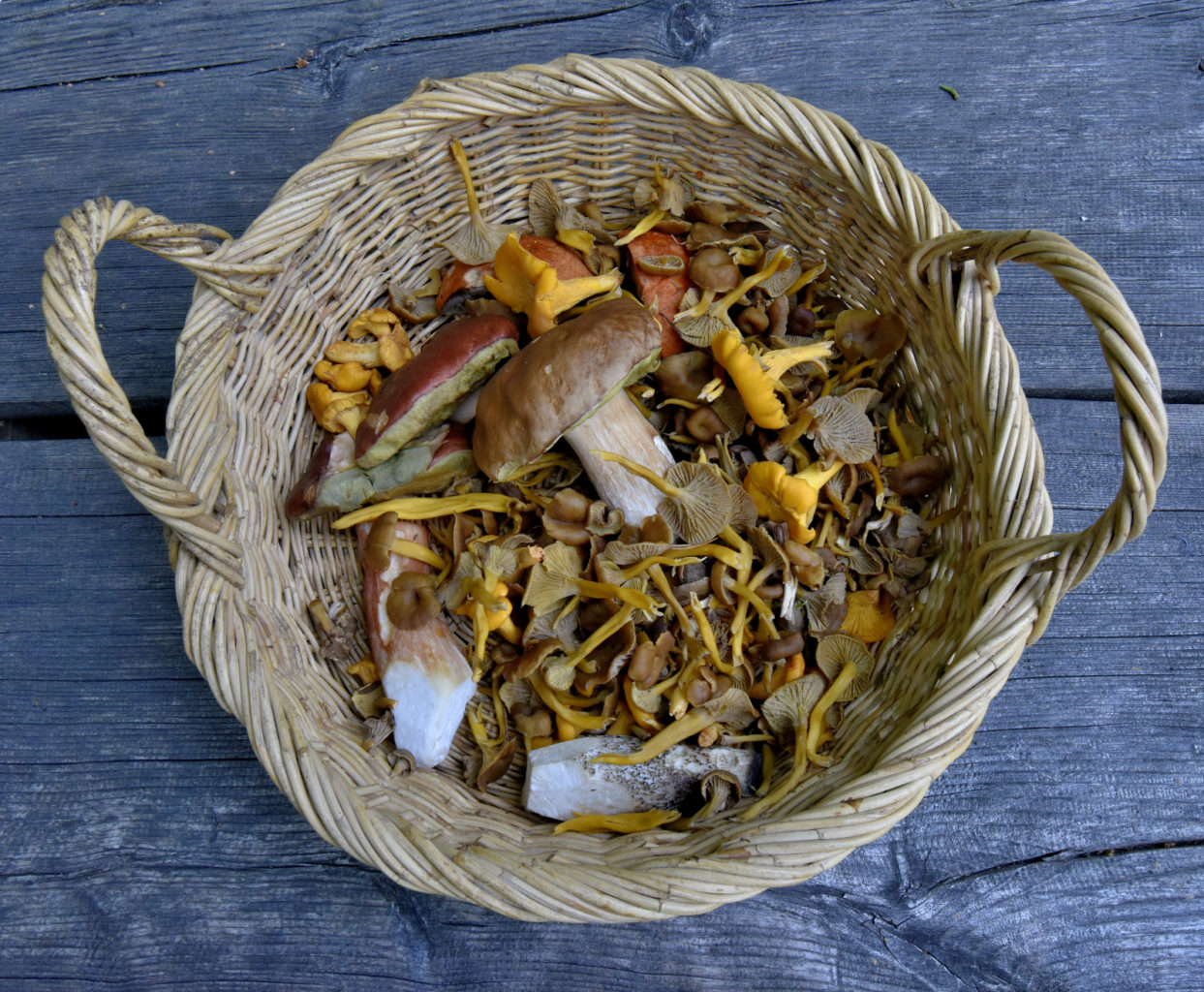 Valokuvaaja: Reijo Juurinen