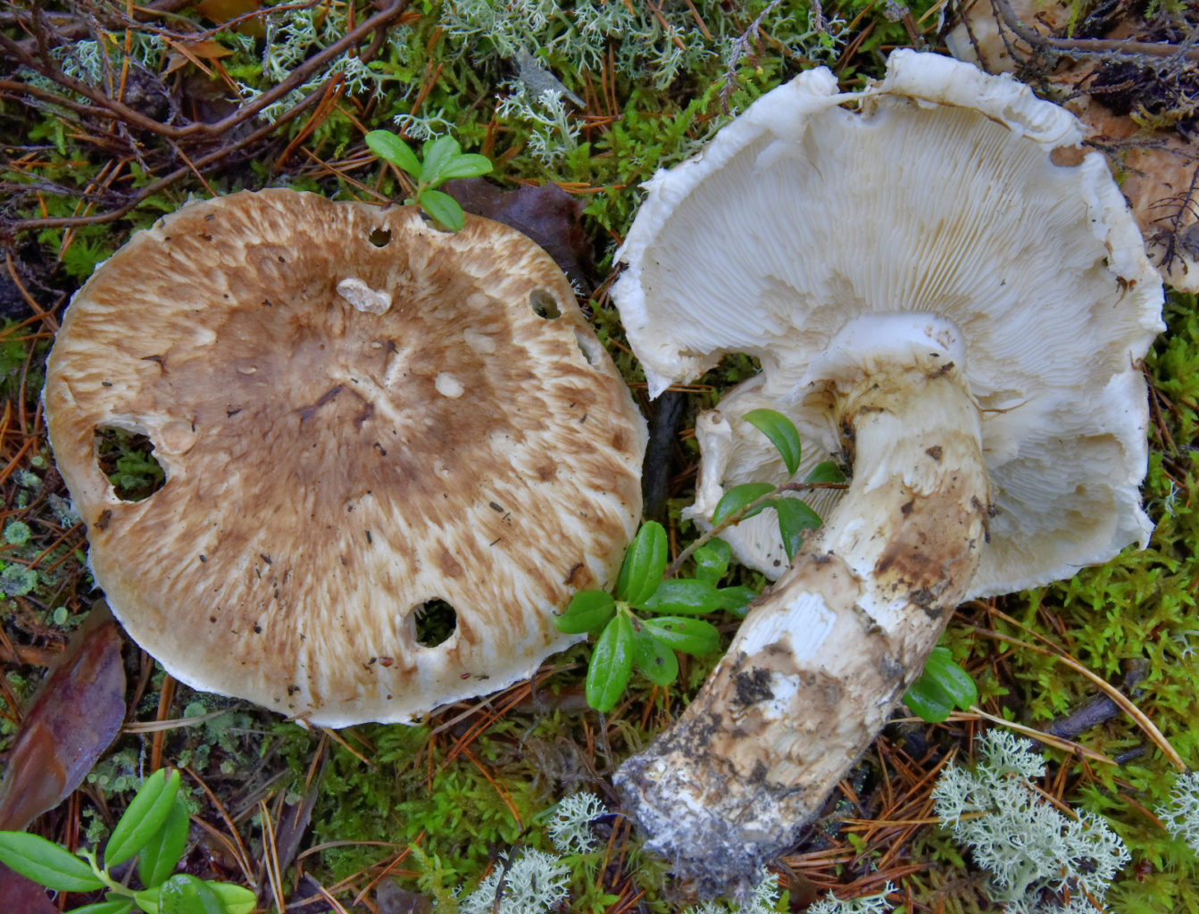Valokuvaaja: Reijo Juurinen