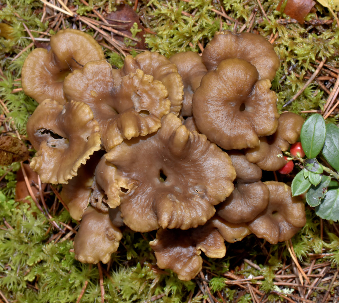 Valokuvaaja: Reijo Juurinen