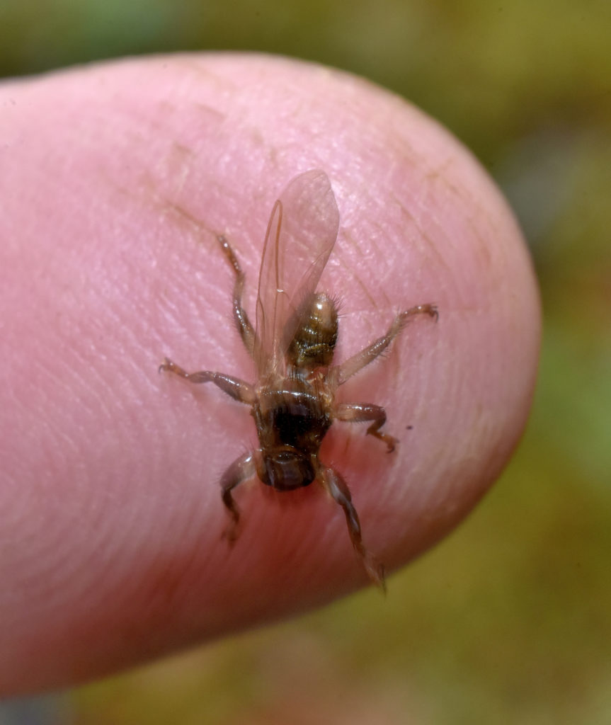 Valokuvaaja: Reijo Juurinen