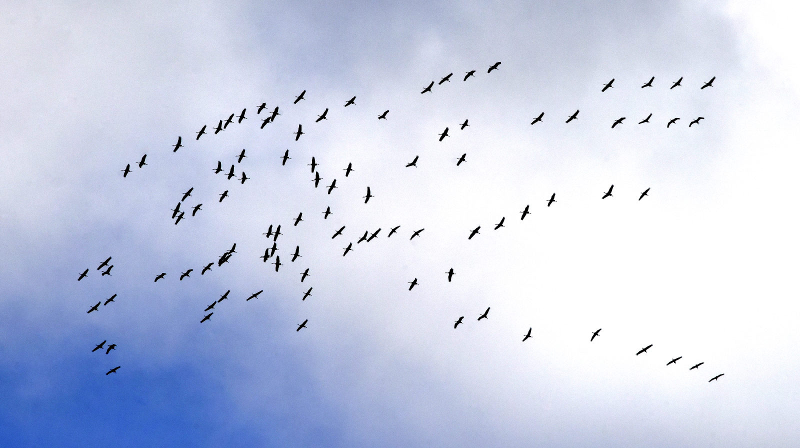 Valokuvaaja: Reijo Juurinen Valokuvaaja: Reijo Juurinen