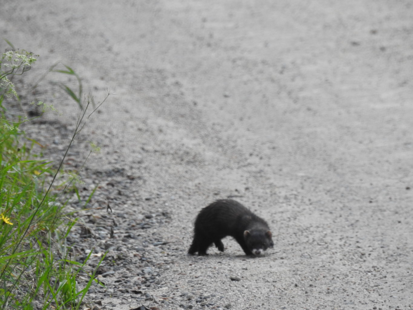 Valokuvaaja: Emmi Hakulinen