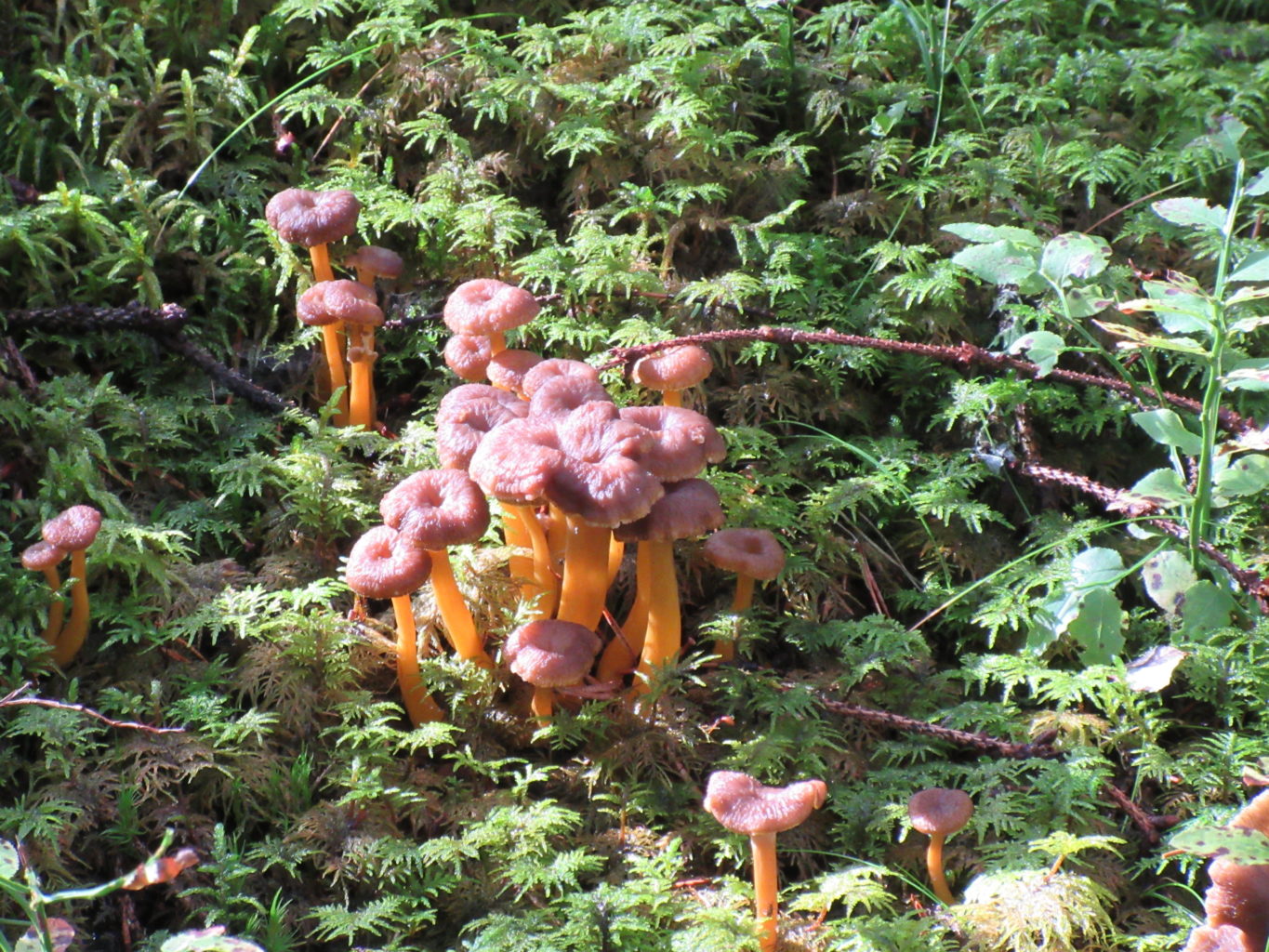 Valokuvaaja: Terttu Rantanen