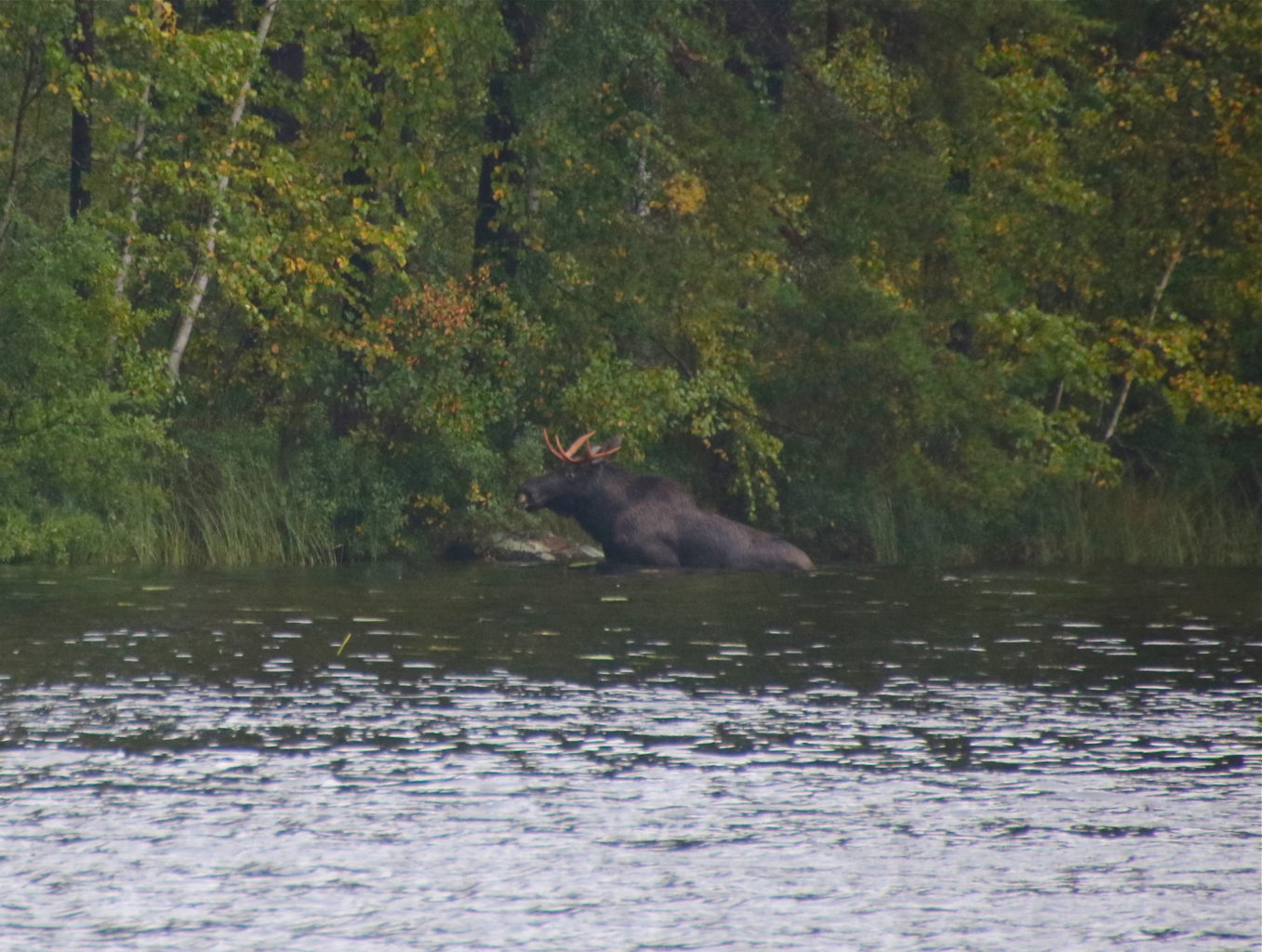 Valokuvaaja: Pirjo Kallio