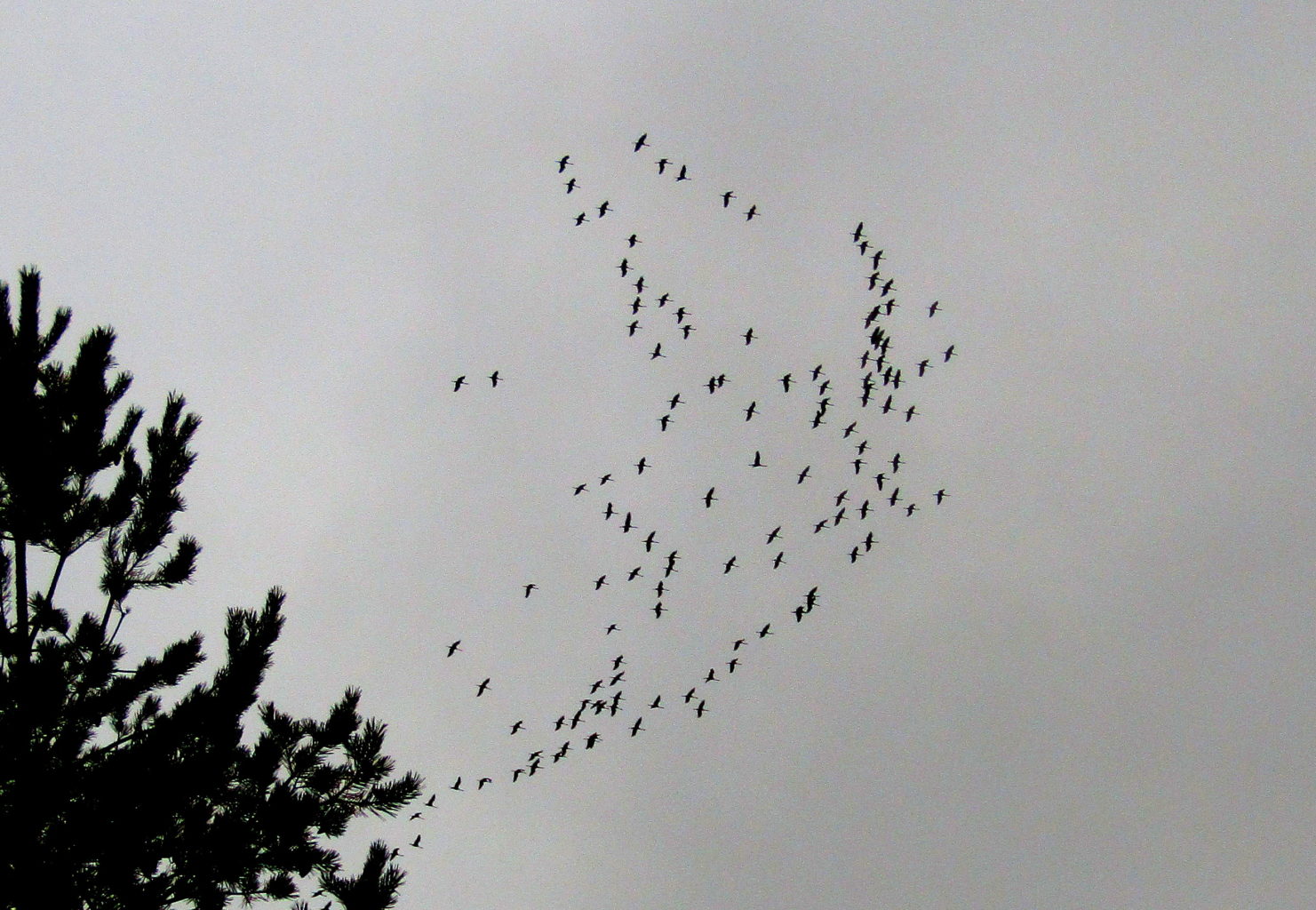 Valokuvaaja: Sirkka Ruotoistenmäki