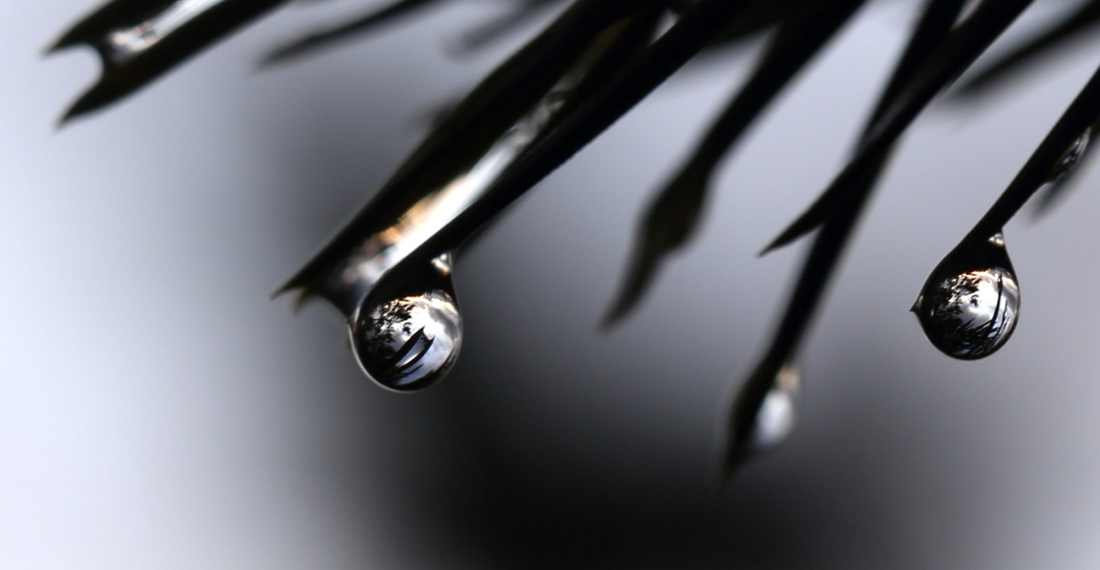 Valokuvaaja: Kirsi Kyllönen